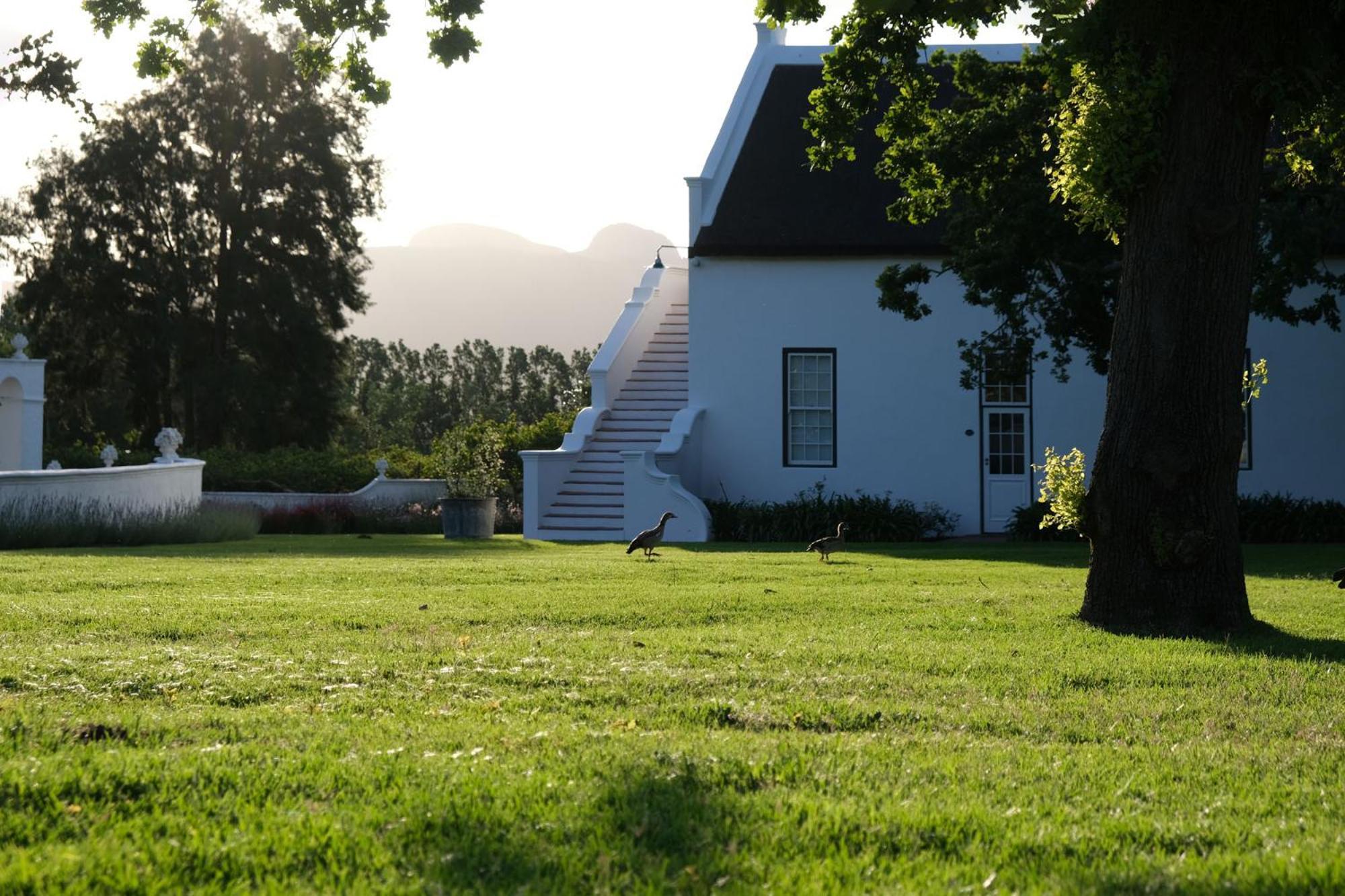 Adara Palmiet Valley Luxurious Boutique Farm Hotel Paarl Ngoại thất bức ảnh